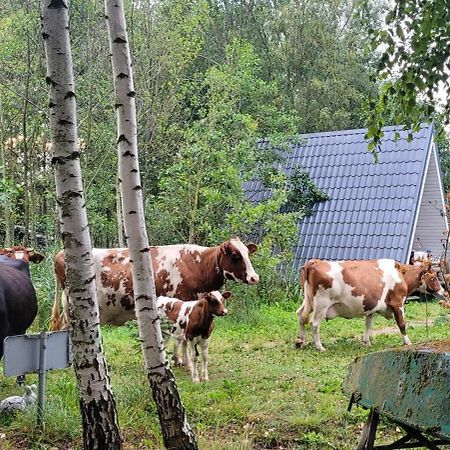 Vigio Brasta Camping Elektrenai Buitenkant foto