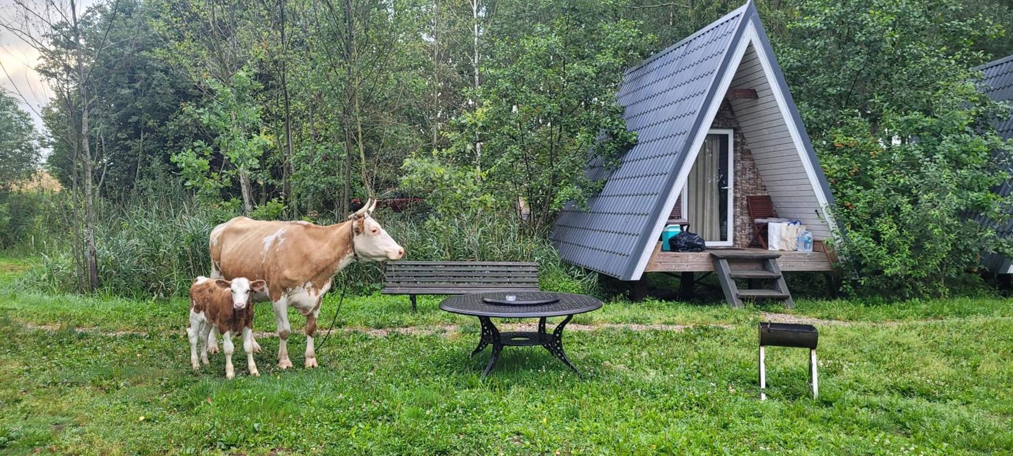 Vigio Brasta Camping Elektrenai Buitenkant foto